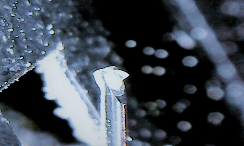 Sat Apr 10 20-14-59 (2).jpg