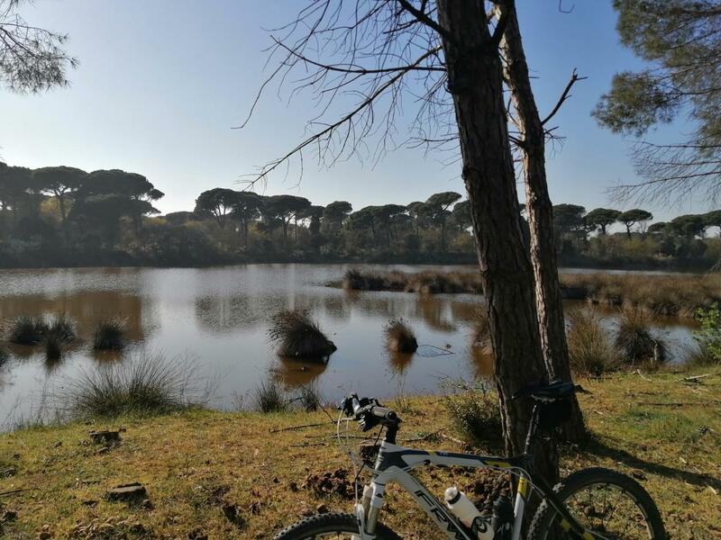 foto pineta bike.jpg