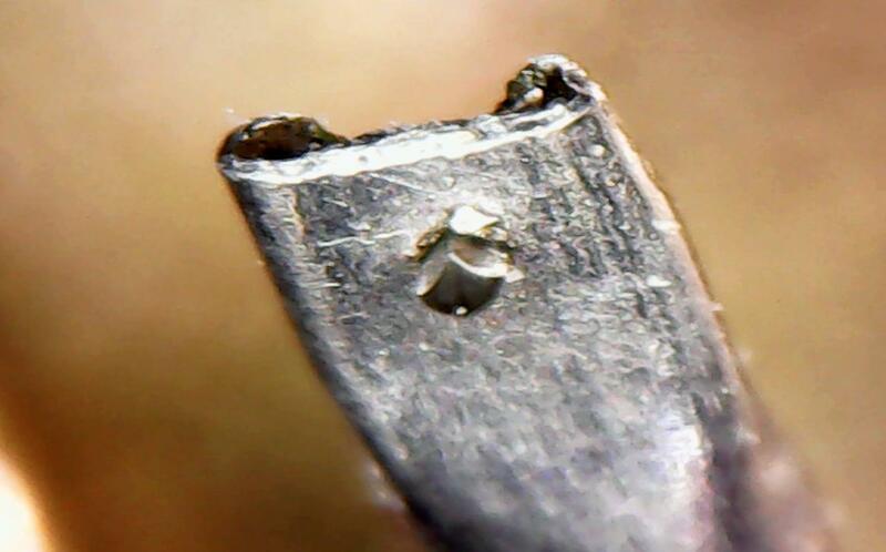 Sat Apr 10 19-57-30 (2).jpg