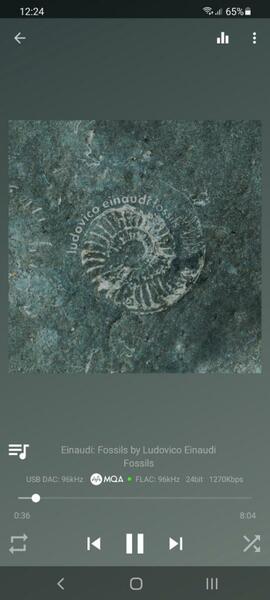 Screenshot_20210406-122445_USB Audio Player PRO.jpg