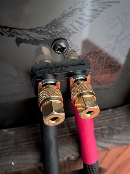 Daedalus Audio connettori 1 (2).jpg