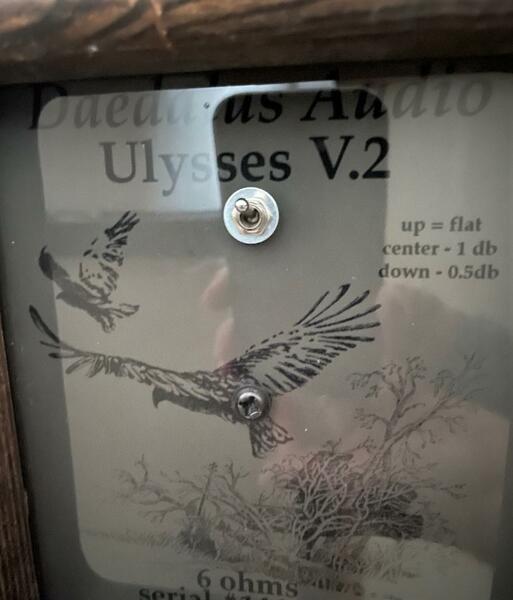 Daedalus Audio treble switch (2).jpg