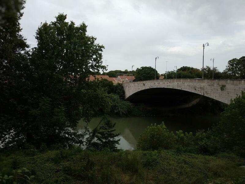 lungotevere portuense vista rid.jpg