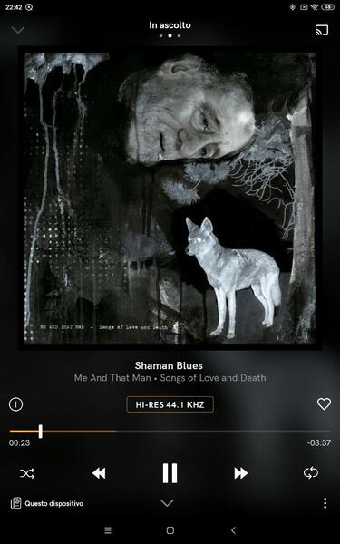 Screenshot_2021-07-29-22-42-42-326_com.qobuz.music.thumb.jpg.22865a4a4fcc3c5a52fdb031fee67b6b.jpg