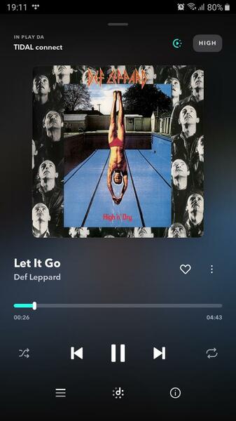 Screenshot_20210701-191129_TIDAL.jpg