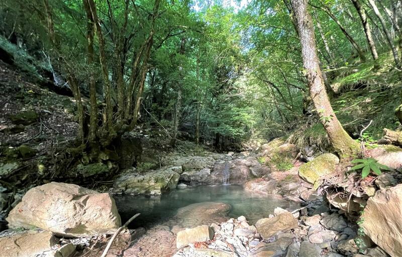 Riola 300721 (3).jpg