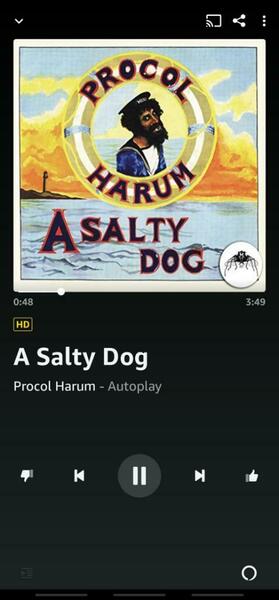 Screenshot_20211001-022154_Amazon Music_copy_1024x2198.jpg