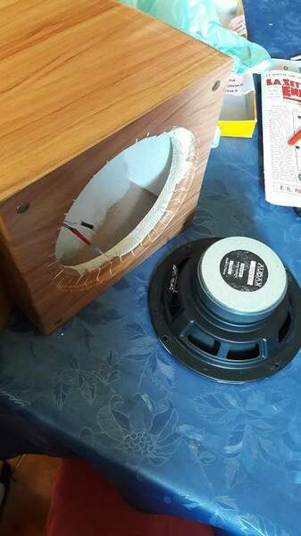 31 cavi e speaker pre saldatura.jpg