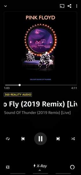 Screenshot_20211020-153533_Amazon Music.jpg