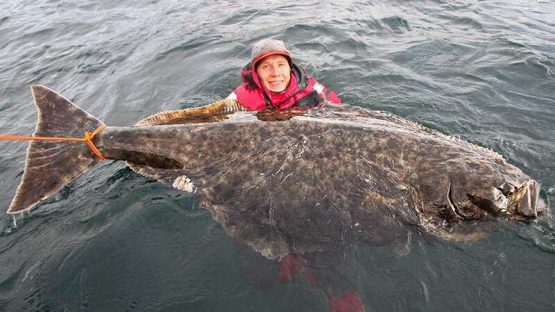 Halibut-catturato-in-Norvegia-blog.jpg