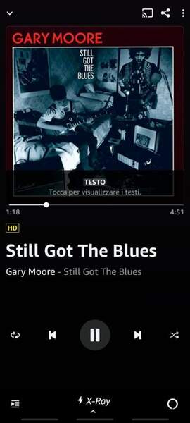 Screenshot_20211128-163711_Amazon Music.jpg