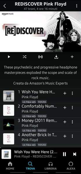 Screenshot_20211128-171556_Amazon Music.jpg