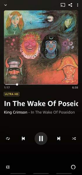 Screenshot_20211101-125612_Amazon Music.jpg