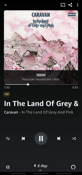 Screenshot_20211122-222849_Amazon Music.jpg