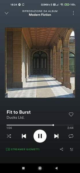Screenshot_2021-11-01-18-24-38-057_com.spotify.music.jpg