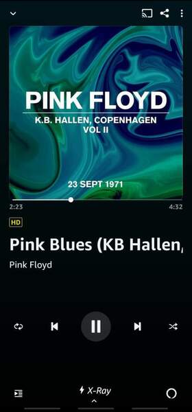 Screenshot_20211217-214436_Amazon Music.jpg