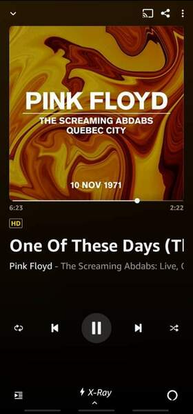 Screenshot_20211217-210616_Amazon Music.jpg