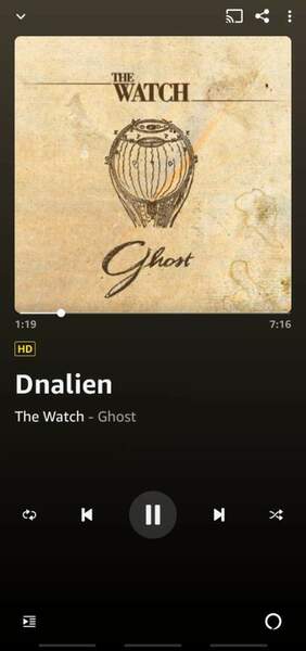 Screenshot_20220120-183739_Amazon Music.jpg