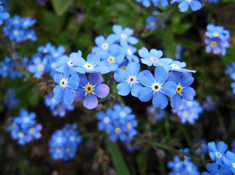 screenshot 2022-01-12 alle 21.31.29.png