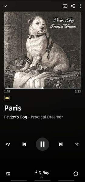 Screenshot_20220121-103557_Amazon Music.jpg