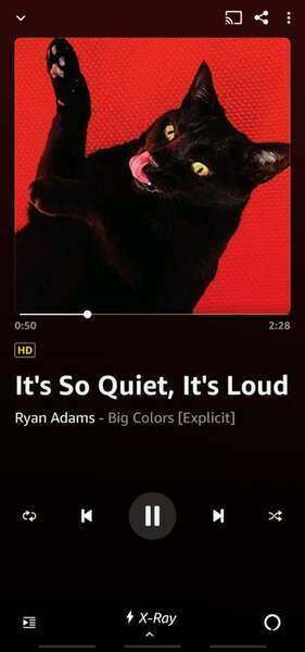 Screenshot_20220116-214509_Amazon Music.jpg