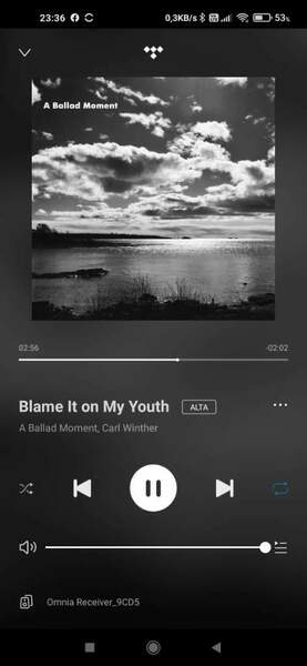 Screenshot_2022-01-28-23-36-36-207_com.wifiaudio.omnia.jpg