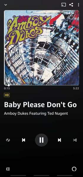 Screenshot_20220220-134805_Amazon Music.jpg