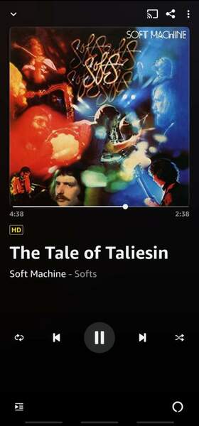 Screenshot_20220328-221936_Amazon Music.jpg