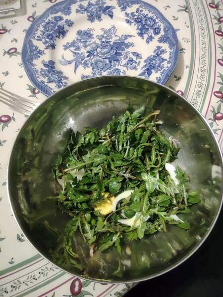 IMG_20220322_202902276 (FILEminimizer).jpg