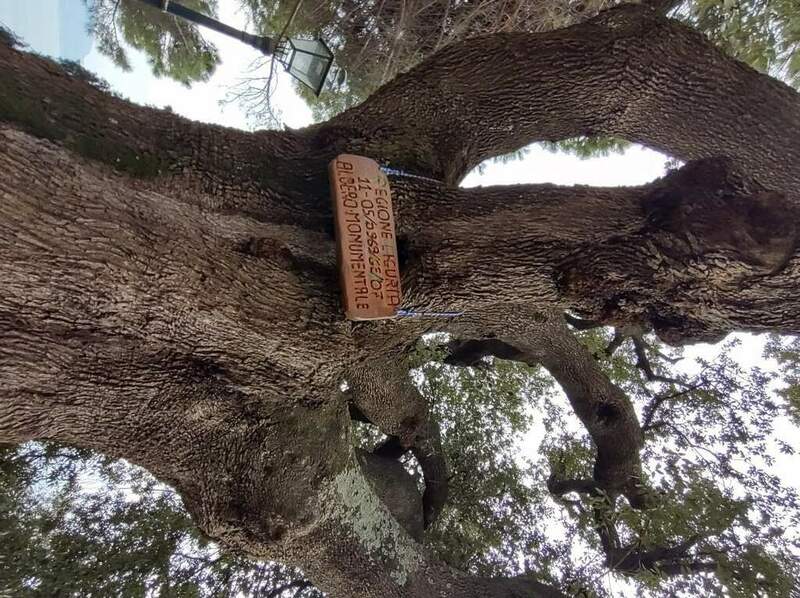 IMG_20220318_163522326_HDR (FILEminimizer).jpg