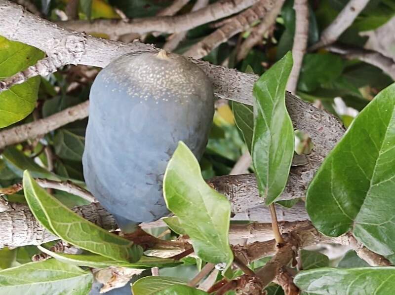 IMG_20220318_170012708 (FILEminimizer).jpg