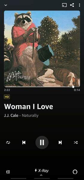 Screenshot_20220323-222949_Amazon Music.jpg