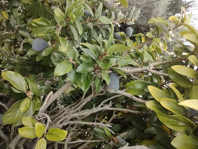 IMG_20220318_170044486 (FILEminimizer).jpg