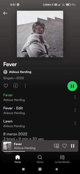 Screenshot_2022-03-11-08-57-47-374_com.spotify.music.jpg