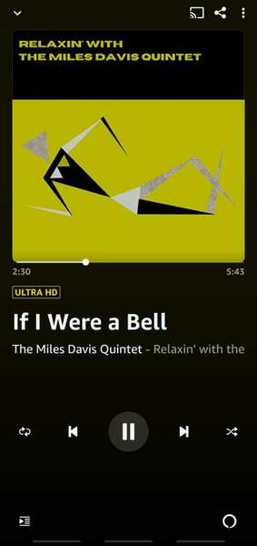 Screenshot_20220416-000135_Amazon Music.jpg