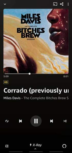 Screenshot_20220415-215826_Amazon Music.jpg