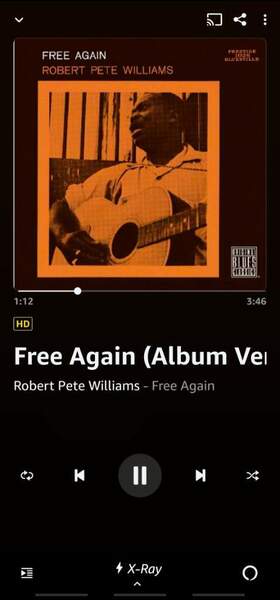 Screenshot_20220422-195810_Amazon Music.jpg