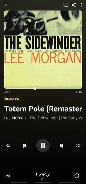 Screenshot_20220419-212753_Amazon Music.jpg