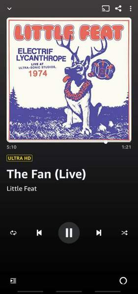 Screenshot_20220402-223111_Amazon Music.jpg