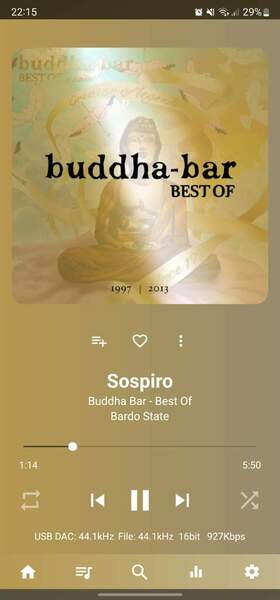 Screenshot_20220505-221543_USB Audio Player PRO.jpg