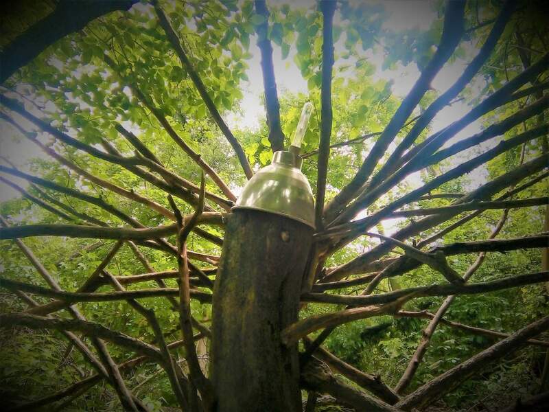 IMG_20210529_124938 (2).jpg