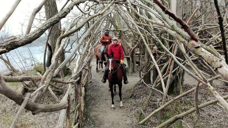 IMG_20220219_160049 (3).jpg