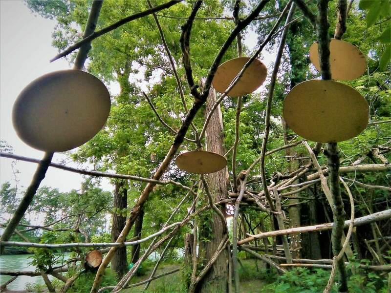 IMG_20210522_125814 (2).jpg