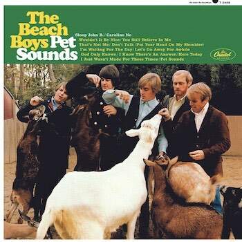 PetSounds.jpg.31f19ccf0426cfc30f4af727b460ce17.jpg