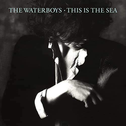 waterboysthisisthesea.jpg.5085dd90c4117eb4346bd4b891454af1.jpg
