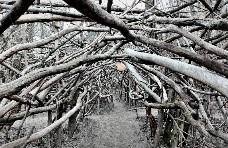 AD ASTRA X MELIUS.jpg