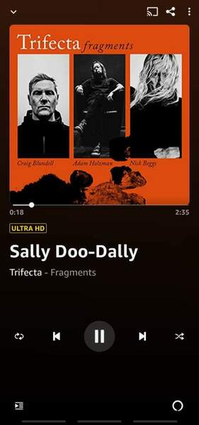 Screenshot_20220615-151223_Amazon Music.jpg