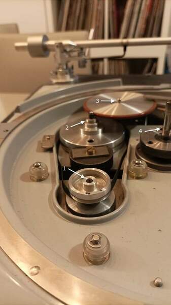 WhatsApp Image 2022-06-11 at 16.42.02.jpeg