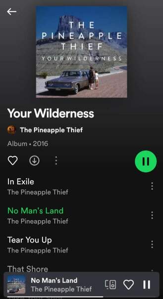 PINEAPPLE T.jpg