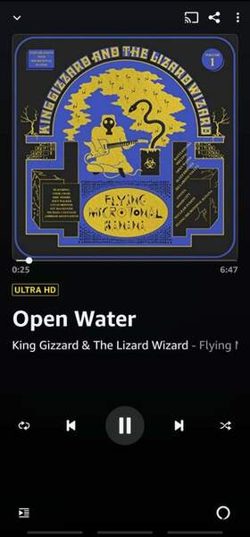 Screenshot_20220703-205358_Amazon Music.jpg